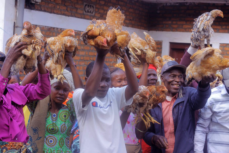 Het verhaal van Spicy Sara - update