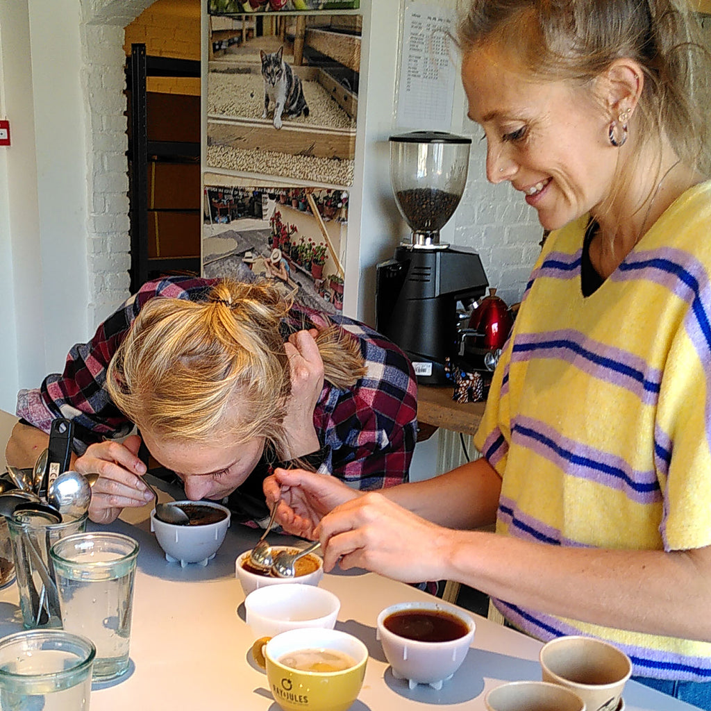 Sisters' Surprise Beyond Blend