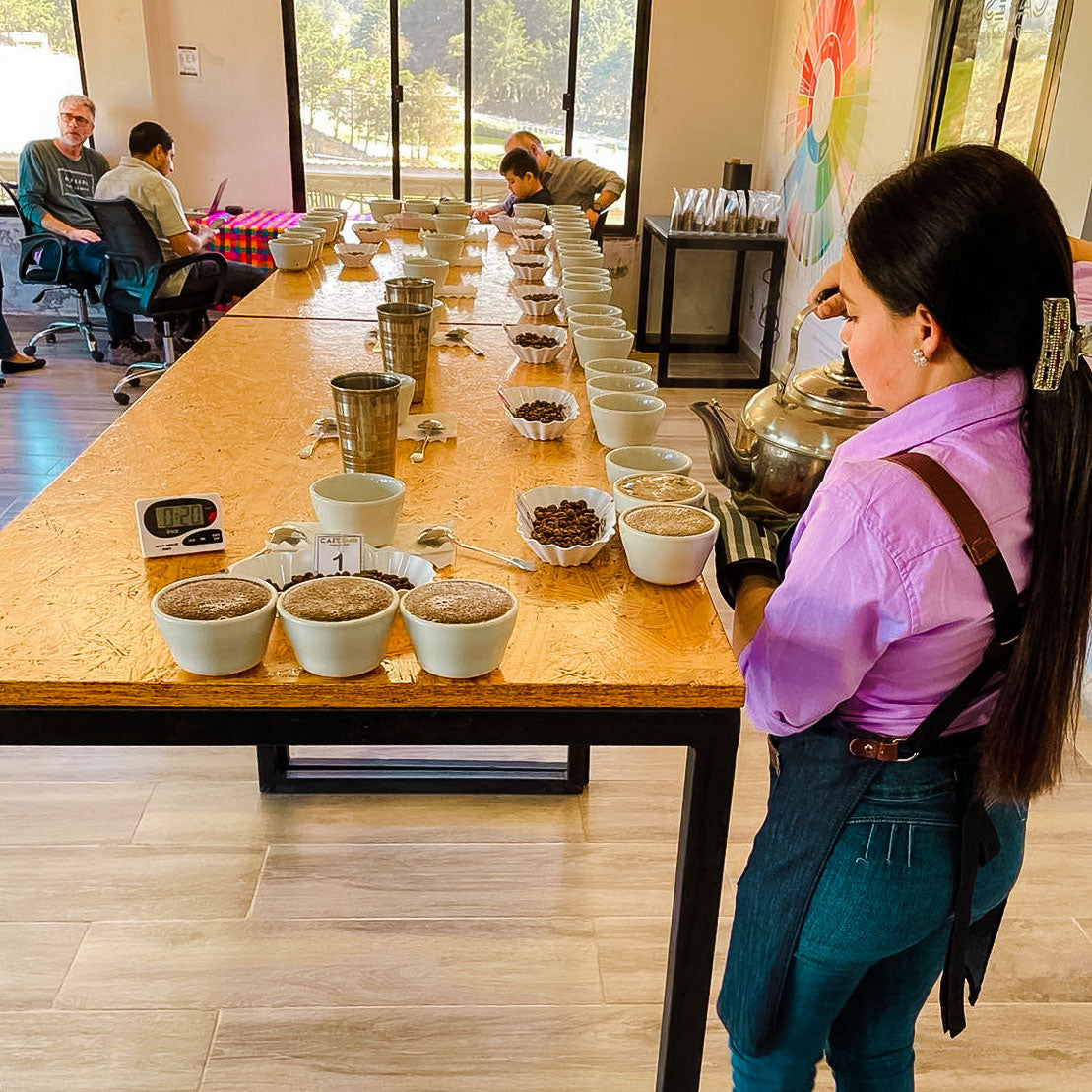 Voorbereiding van een cupping bij Cafesmo