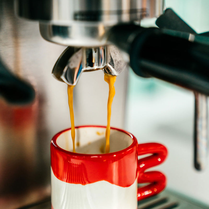 Ontdekkings abonnement (intens)