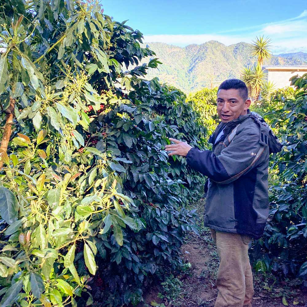 Sisters' Surprise Guatemala Fredy