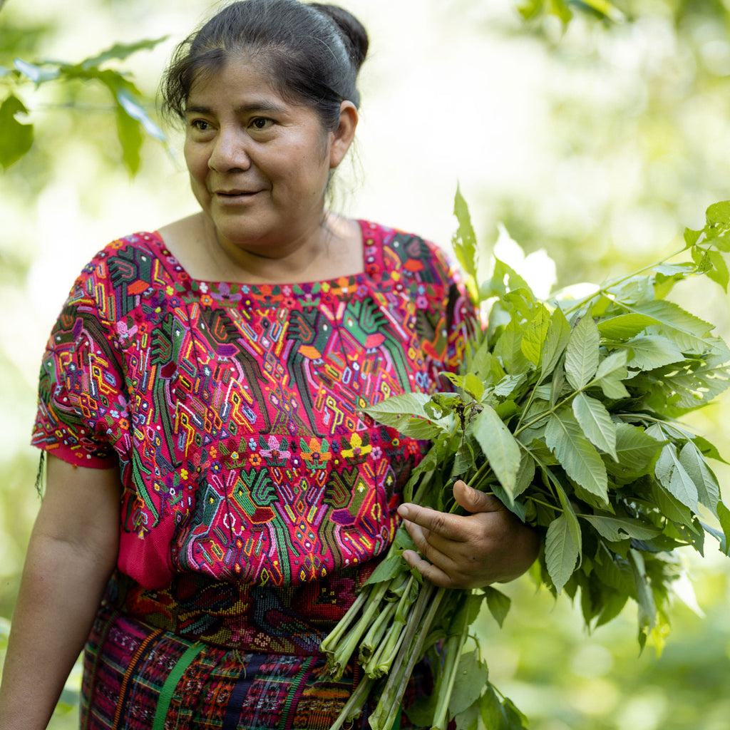Mujeres Ixil, Guatemala
