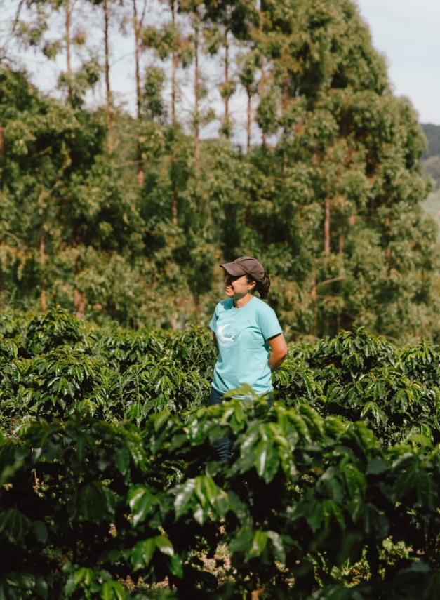 Sisters' Surprise Brazil Ellen Fontana