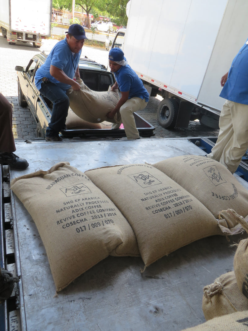 Sisters' Surprise Nicaragua Jinotega