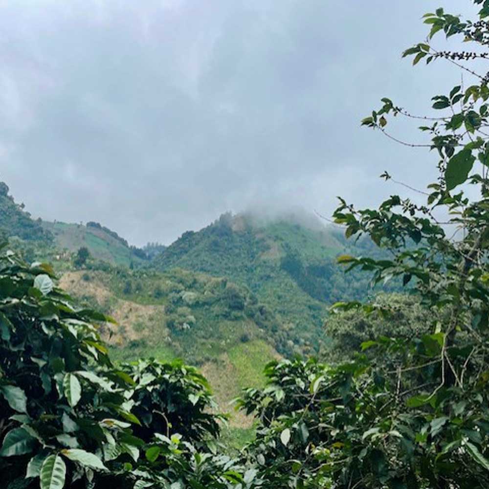 Sisters' Surprise Guatemala El Socorro
