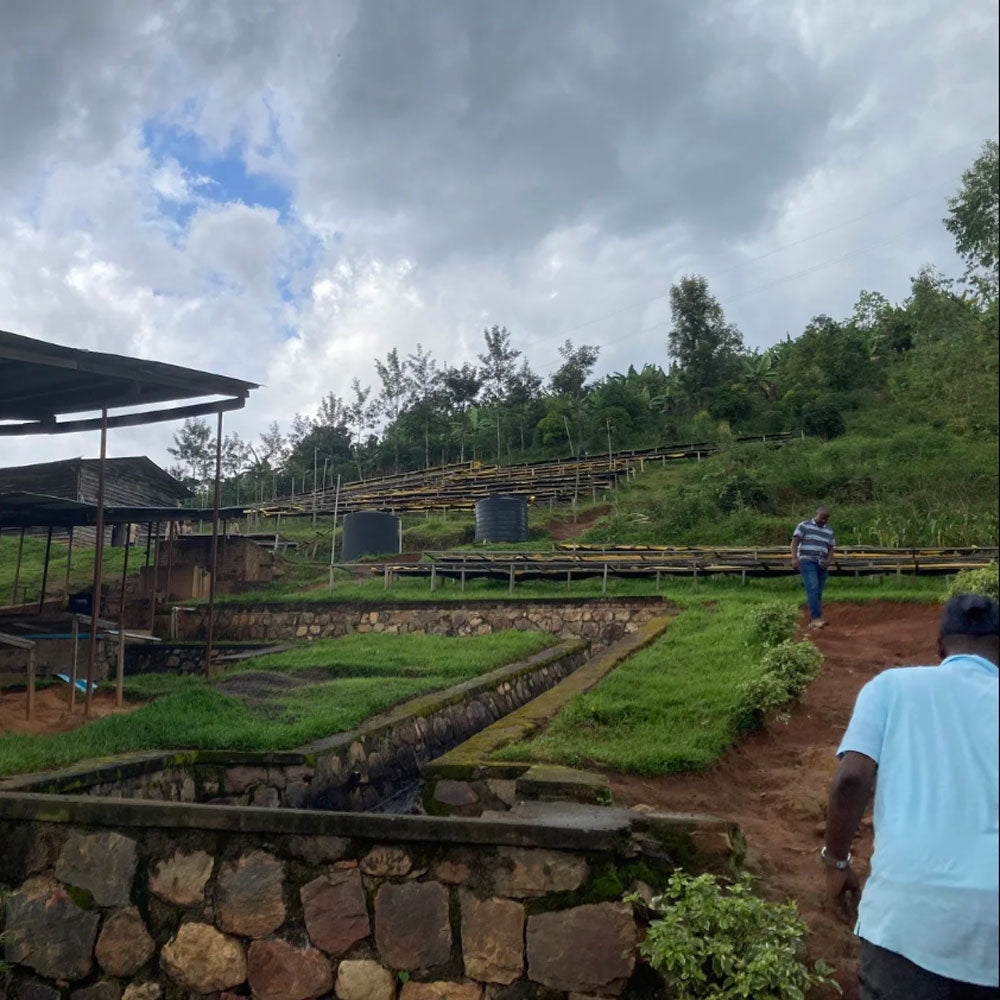 Spicy Sara, Rwanda
