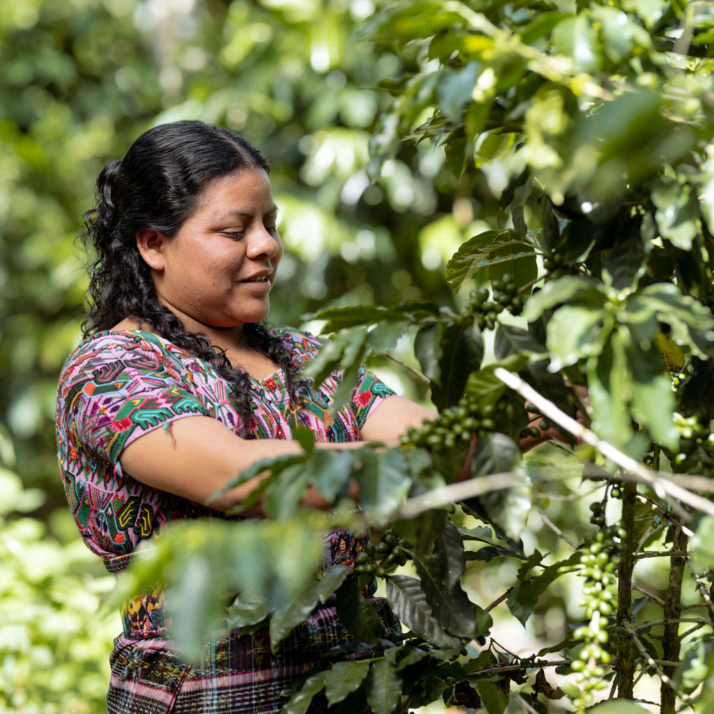 Mujeres Ixil, Guatemala