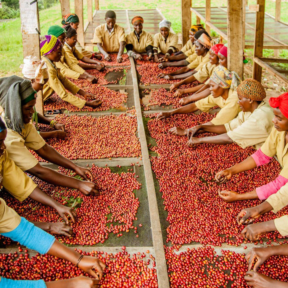 Sisters' Surprise Rwanda Musasa